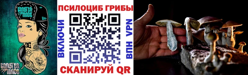 Псилоцибиновые грибы Cubensis  купить закладку  Петропавловск-Камчатский 